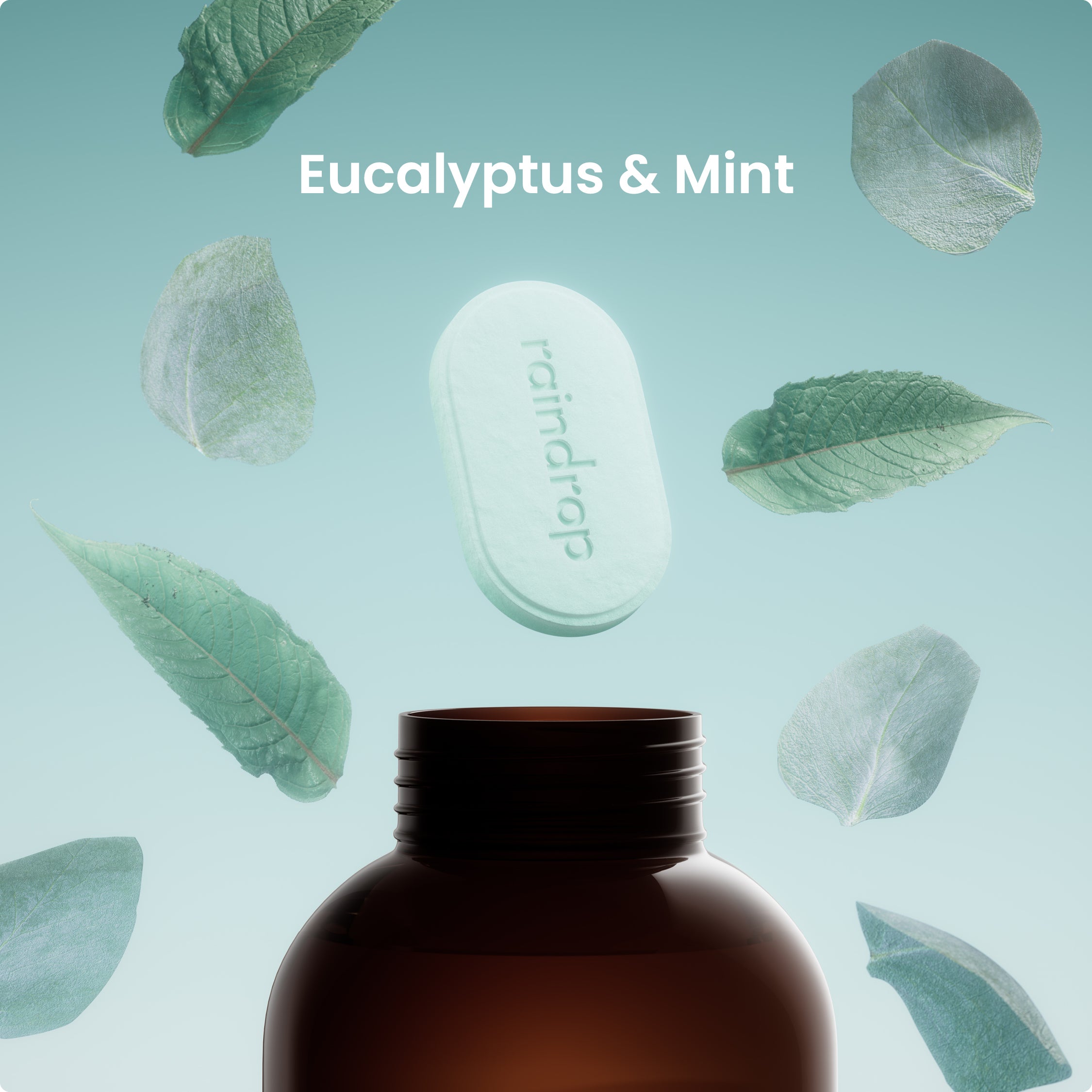 Eucalyptus & Mint Foaming Soap Refills